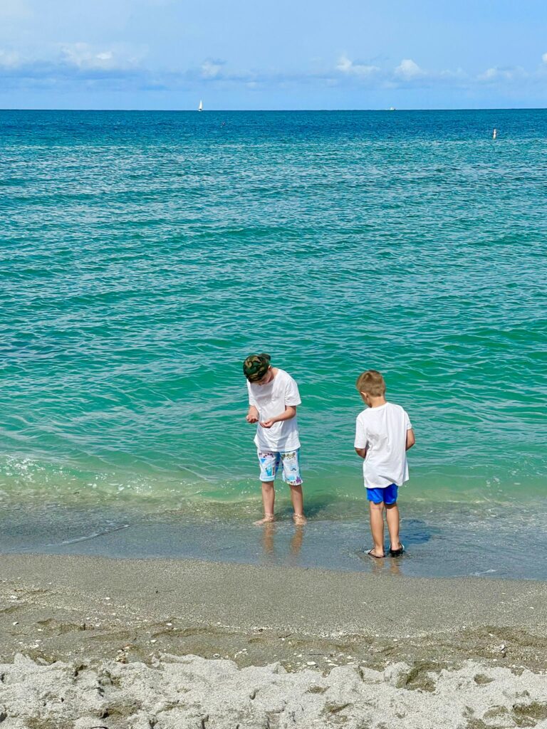 Haifischzähne am Strand von Südwest Florida suchen - Ferienvilla Cape